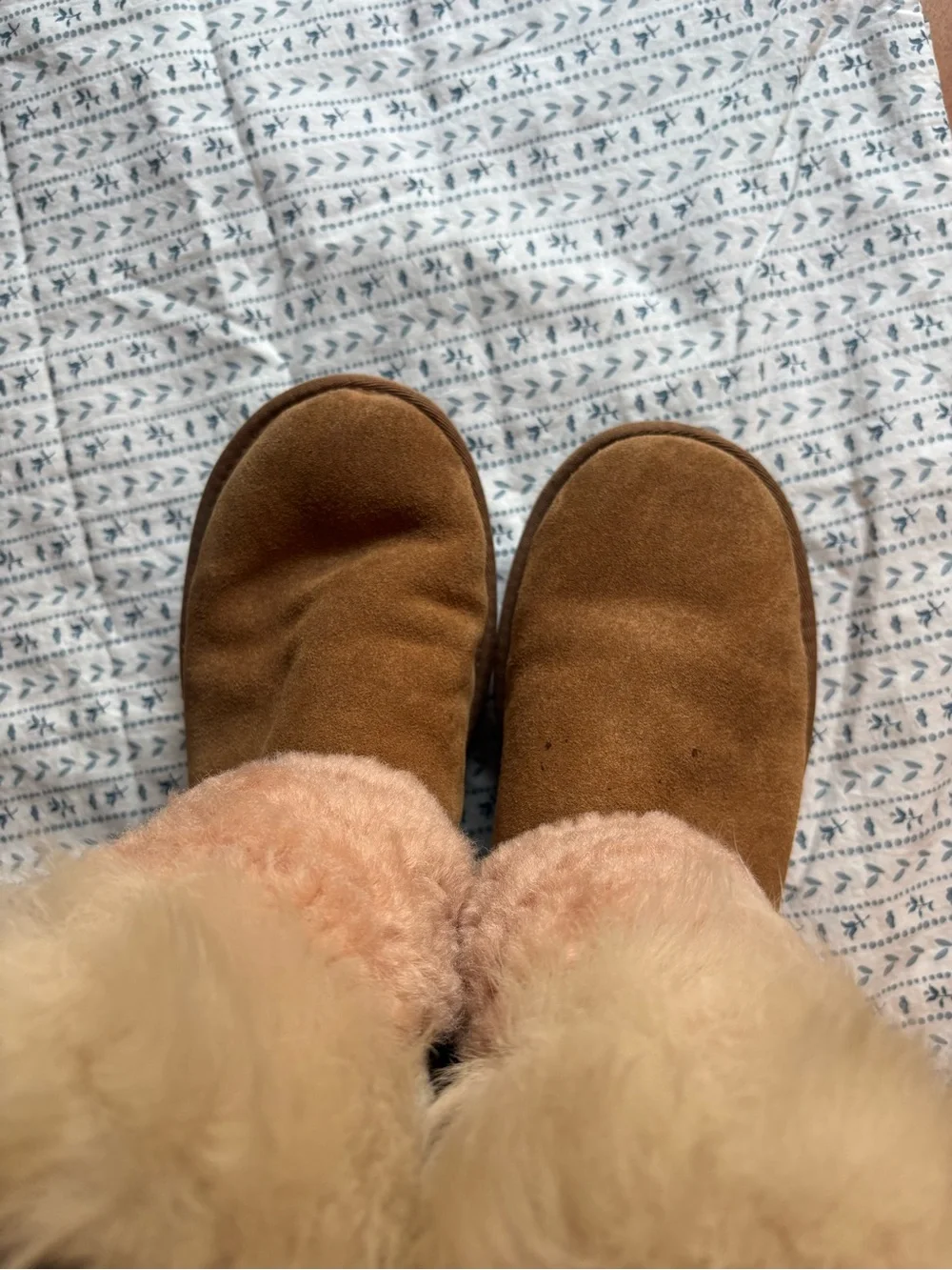 UGG Tan Suede Boots (boots with the fur!)